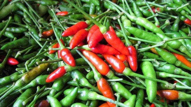 Kegunaan cabe rawit
