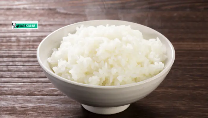 Viral Stok Nasi Beku, Praktis dan Banyak Manfaat. Kamu Harus Tahu!