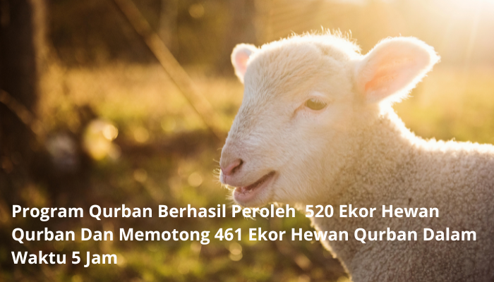 Forum Yayasan Indonesia : Sharing Program Qurban “Mendapatkan 520 Ekor Hewan Qurban Dan Memotong 461 Ekor Hewan Qurban Dalam Waktu 5 Jam”