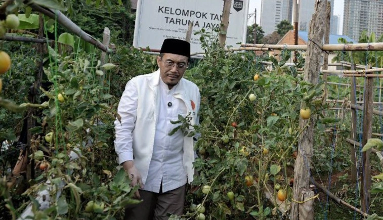 Urban Farming, Gagasan Utama Suswono Dalam Upaya Pemanfaatan Lahan Perkotaan
