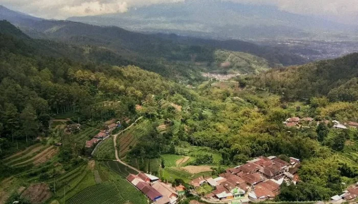 Wisata Goa Pinus Pujon Yang Harus Kamu Kunjungi!